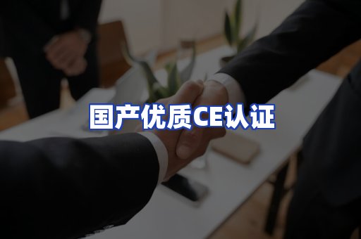 国产优质CE认证
